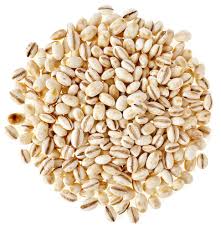 Barley Seeds